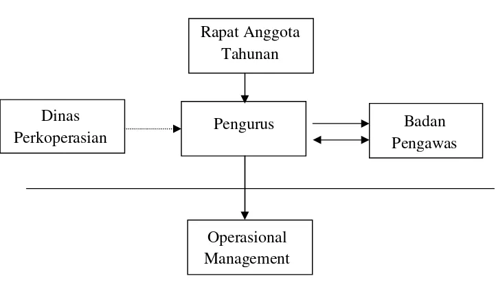 Gambar 1.1  Struktur Organisasi Pengurus dan Rapat Anggota Tahunan 
