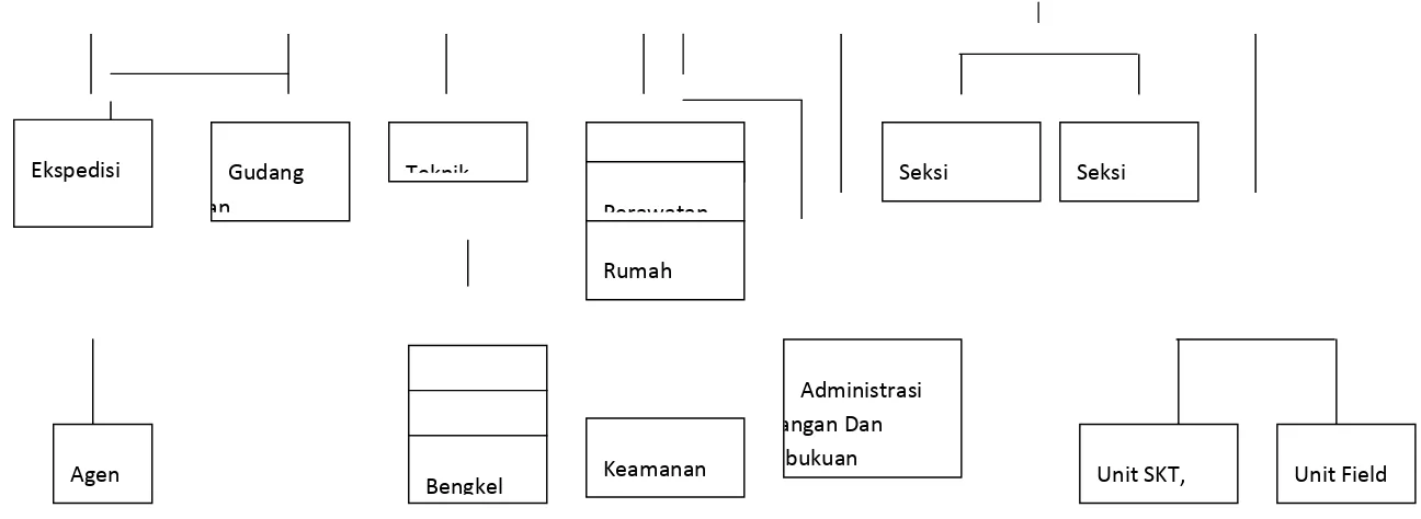 Gambar 1.1 Struktur Organisasi PT.Djitoe ITC 