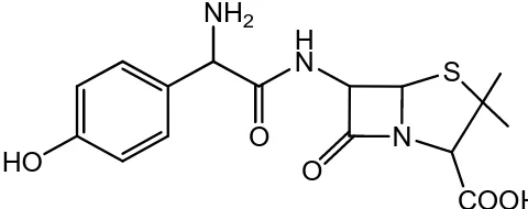 Gambar 9. Struktur kimia amoksisilin 