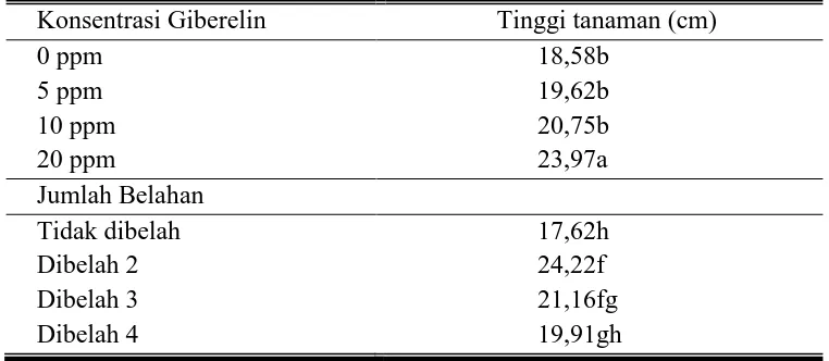 Tabel 1. Pengaruh perendaman dalam giberelin dan pembelahan umbi terhadap tinggi tanaman kentang                                                             