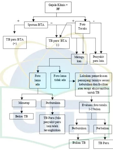 Gambar 2.1 Skema Alur Diagnosis TB paru pada orang dewasa 