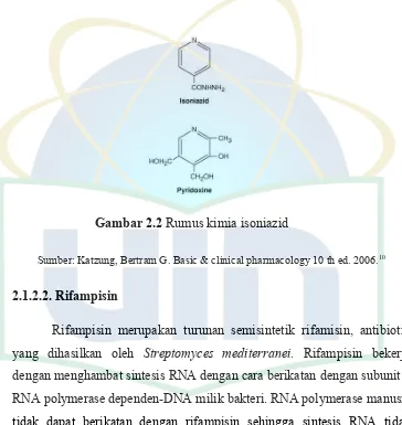 Gambar 2.2 Rumus kimia isoniazid 