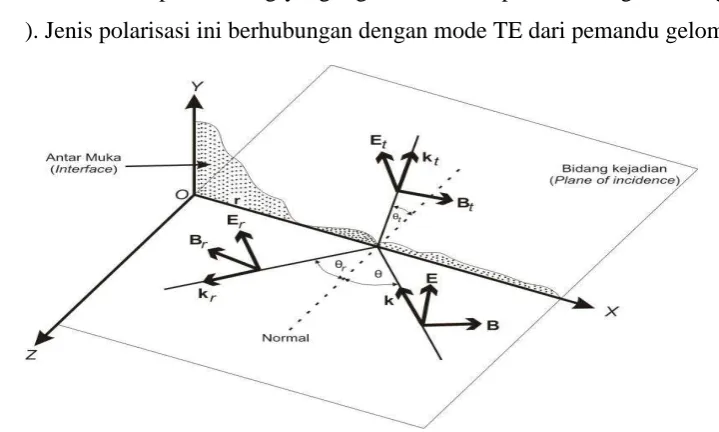 Gambar 2.6. Polarisasi TE (Pedrotti,1993) 