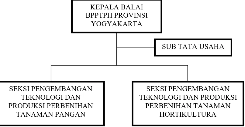Gambar 4.1.  Struktur Organisasi Balai Pengembangan dan Promosi Tanaman Pangan Hortikultura (BPPTPH) Ngipiksari