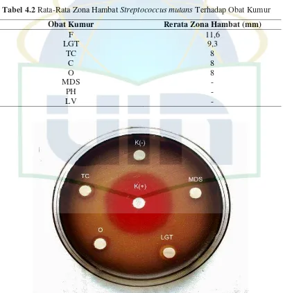 Tabel 4.2 Rata-Rata Zona Hambat Streptococcus mutans Terhadap Obat Kumur 