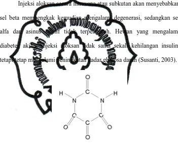 Gambar 2. Rumus Struktur Aloksan (diambil dari Schocken, 1995) 