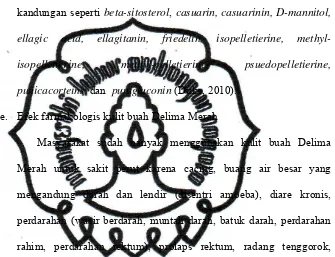 Tabel 2. Kandungan Kimia dan Efek Farmakologis Kulit Buah        Delima Merah 