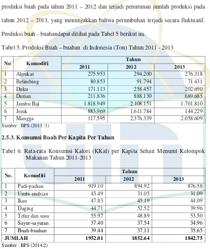 Tabel 5. Produksi Buah – buahan  di Indonesia (Ton) Tahun 2011 - 2013 