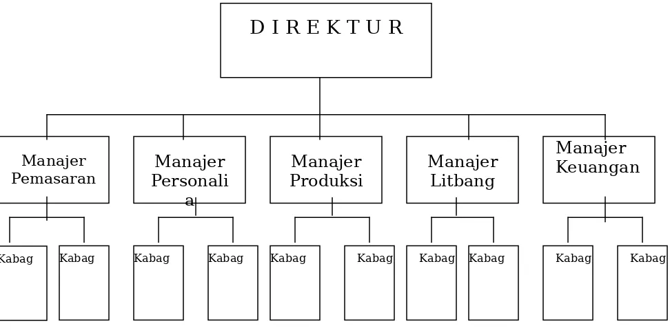 Gambar 5.1   Struktur Organisasi Garis