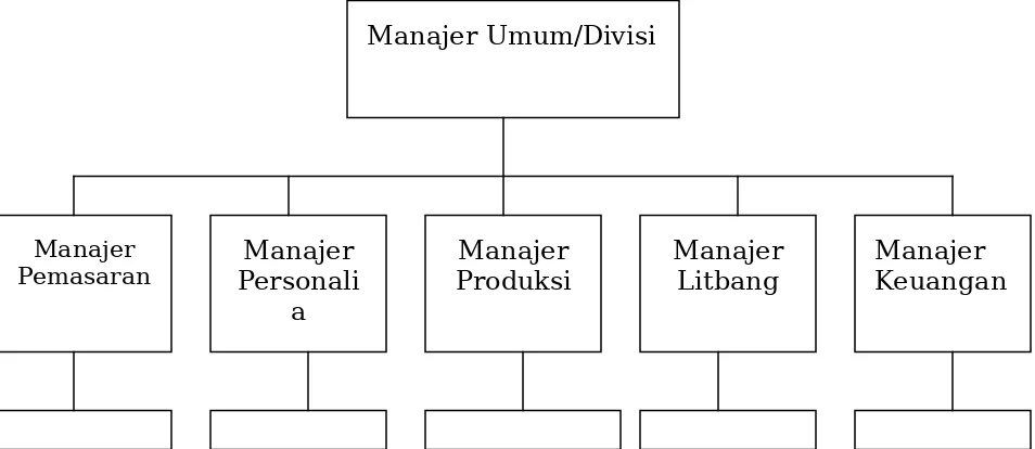 Gambar 1.2 Manajer Fungsional dan Manajer Umum