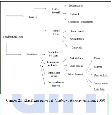 Gambar 2.1 Klasifikasi penyebab foodborne disease (Arisman, 2009) 