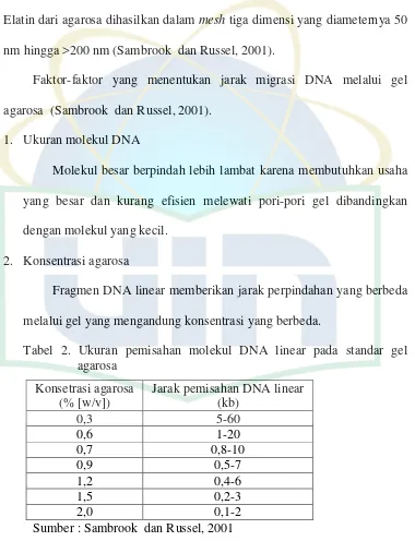 Tabel 2. Ukuran pemisahan molekul DNA linear pada standar gel 