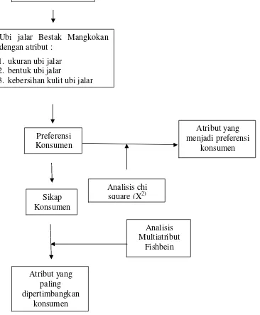 Gambar 3. Skema Kerangka Pemikiran Pendekatan Masalah 