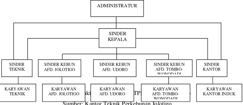 Gambar 4.1KARYAWAN  Struktur organisasi di PTPN IX Kebun jolotigo                                                           