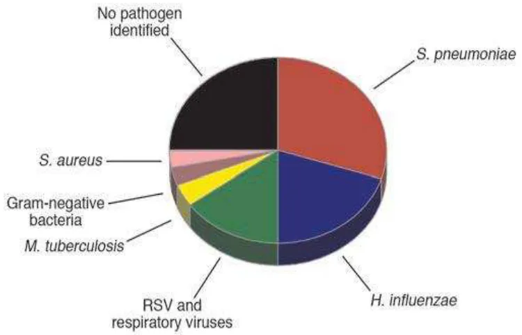 Gambar 1. Etiologi pneumonia pada anak di negara berkembang  
