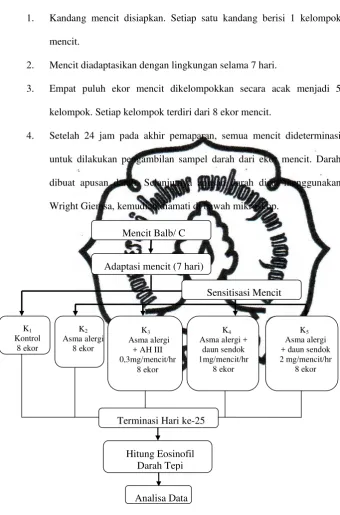 Gambar 3.4.  Alur Kerja Penelitian 