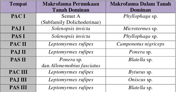 Tabel 8. Makrofauna Tanah Dominan 