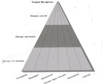 Gambar 2: Jenis manajer berdasarkan tingkat dan bidang.