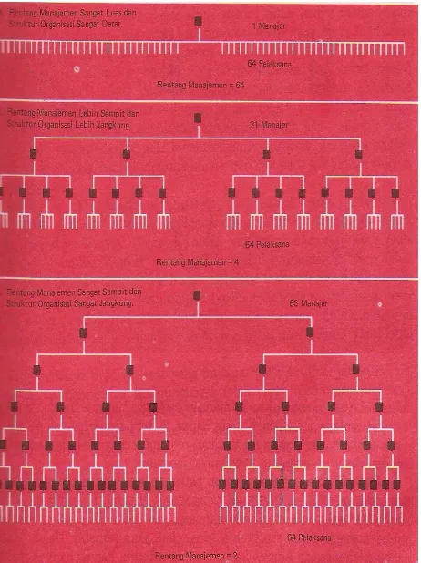 Gambar 4: hubungan antara rentang manajemen dengan struktur organisasiD