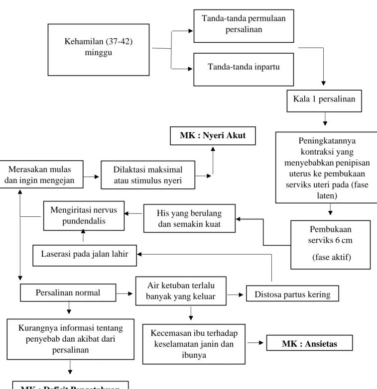 Gambar 2.1 Pathway / Kerangka masalah pada diagnosa medis Persalinan Normal  (Irmayanti, 2011) 