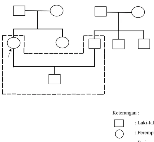 Gambar  3.1  Genogram  Keluarga  Ny.M  dengan  diagnosa  medis  Persalinan  Normal  Kala  1  Di  Rumah  Bidan  Tutut  Kecamatan  Sukodono  Kabupaten Sidoarjo 