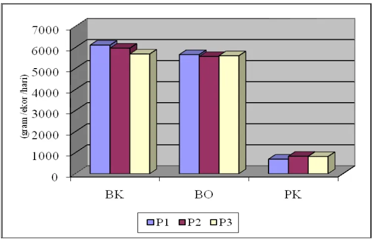 Gambar 1. Rerata konsumsi bahan kering, bahan organik, dan protein kasar  sapi PO betina berfistula (gram/ekor/hari)  