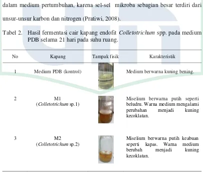 Tabel 2. Hasil fermentasi cair kapang endofit Colletotrichum spp. pada medium 