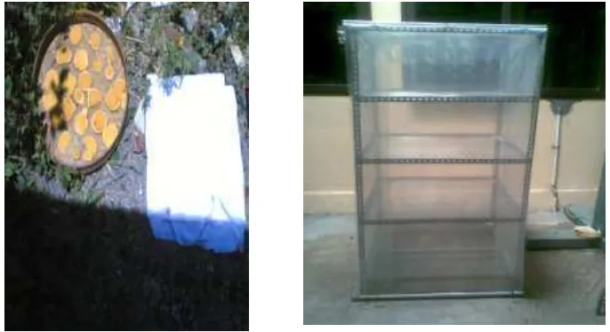 Gambar 3.2 Pengeringan Sinar Matahari Langsung (kiri) dan Solar Dryer (kanan) 