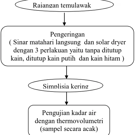 Gambar 3.3  Diagram alir proses pengeringan temulawak 