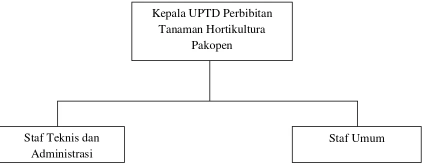 Gambar 1.1. Struktur Organisasi UPTD Perbibitan Tanaman Hortikultura 