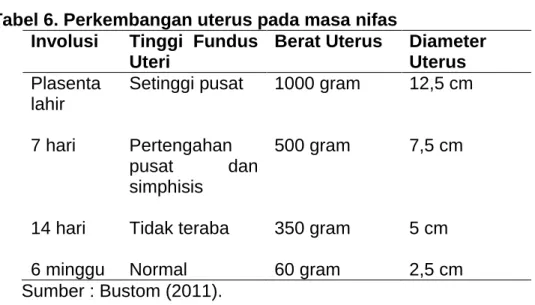 Tabel 6. Perkembangan uterus pada masa nifas  Involusi  Tinggi  Fundus 