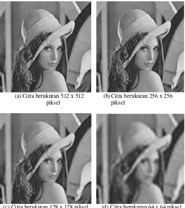 Gambar 2.7 Efek resolusi berdasar jumlah piksel pada citraketika gambar disajikan dengan ukuran yang sama