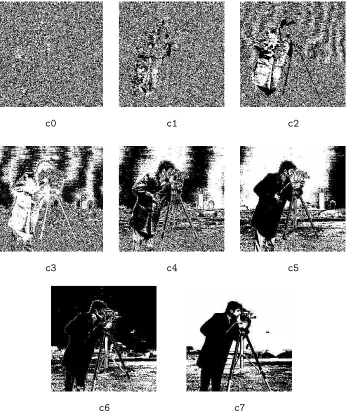 Figure 1.27: The bit planes of an 8-bit greyscale image