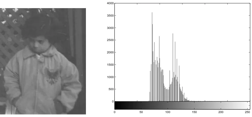 Figure 2.8: The image pout.tif and its histogram