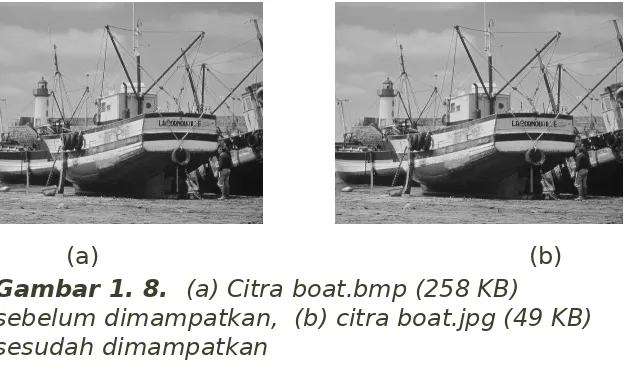 Gambar 1. 8.  (a) Citra boat.bmp (258 KB) 