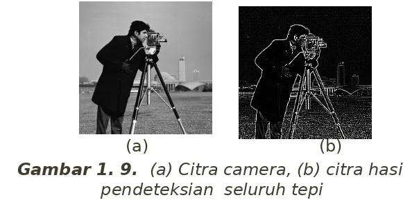 Gambar 1. 9.  (a) Citra camera, (b) citra hasil 