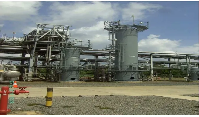 Gambar 5. Natural Gas Liquid Storage Sumber: Petrochina International Jabung Ltd, 2010 
