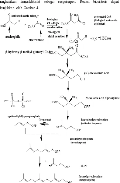 Gambar 4. Reaksi biosintesis terpenoid 