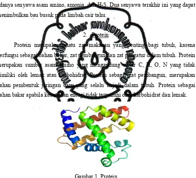 Gambar 1. Protein