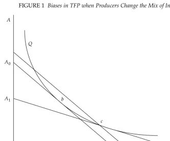 FIGURE 1  Biases in TFP when Producers Change the Mix of Inputsa