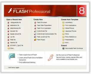 Gambar 4. Panel pada software Macromedia Flash 8 