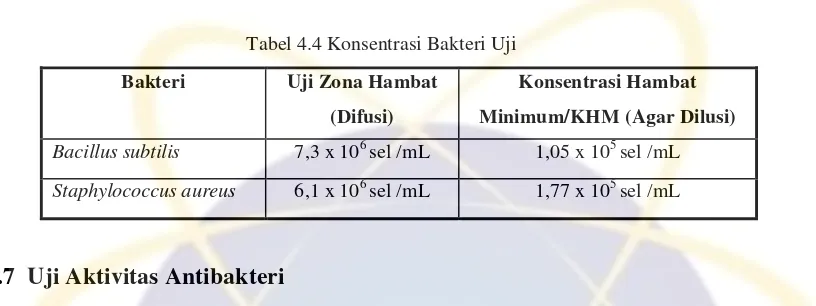 Tabel 4.4 Konsentrasi Bakteri Uji 