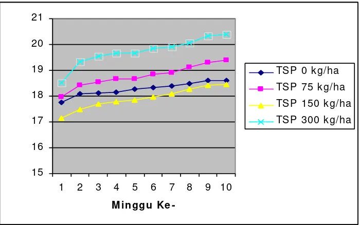 Gambar 8. Kurva hubungan antara dosis pupuk TSP dan tinggi tanaman pule pandak (R.verticillata).