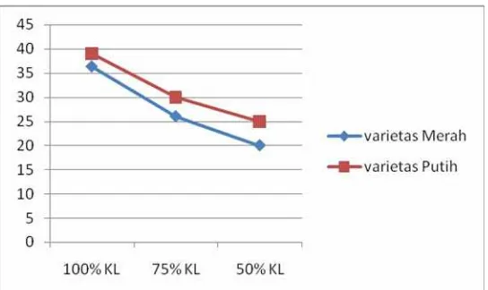 Gambar 9. Grafik rata-rata laju respirasi (ppm/l/menit) C.  edulis Ker. varietas Merah dan Putih pada variasi ketersediaan air
