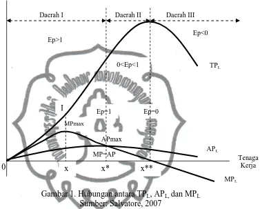 Gambar 1. Hubungan antara TPL, APL, dan MPL Sumber: Salvatore, 2007 