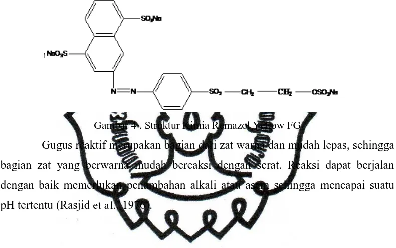 Gambar 4 . Struktur Kimia Remazol Yellow FG 
