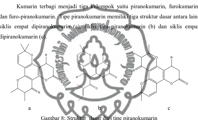 Gambar 8: Struktur  dasar dari tipe piranokumarin 