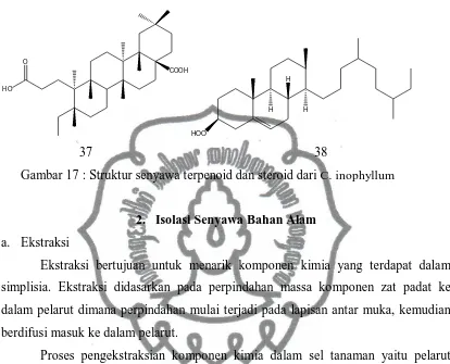 Gambar 17 : Struktur senyawa terpenoid dan steroid dari C. inophyllum 