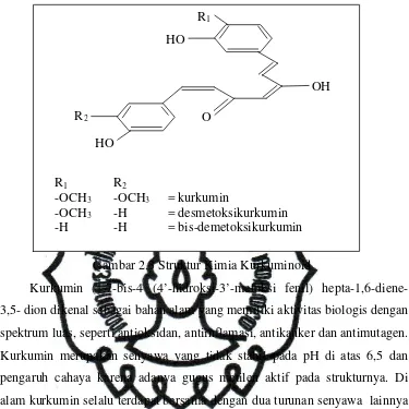 Gambar 2.3 Struktur Kimia Kurkuminoid 