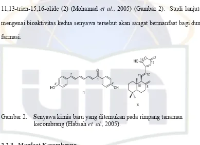Gambar 2.    Senyawa kimia baru yang ditemukan pada rimpang tanaman 